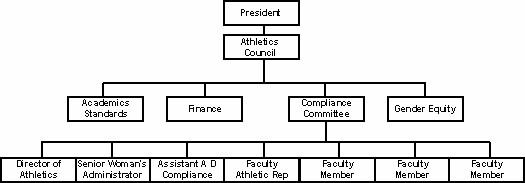 ncaa-organizational-chart-labb-by-ag